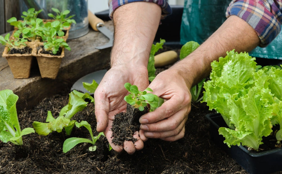 Exploring Atlanta’s modern homes