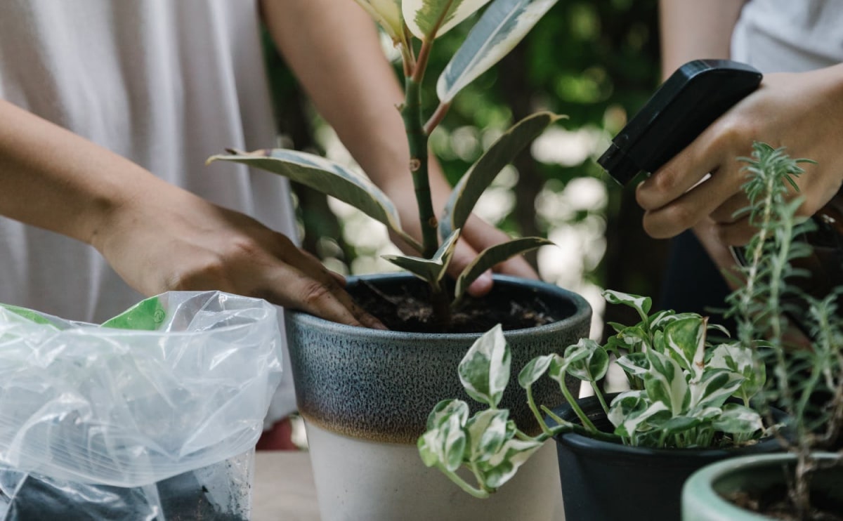 The big design: Wall likes pictures