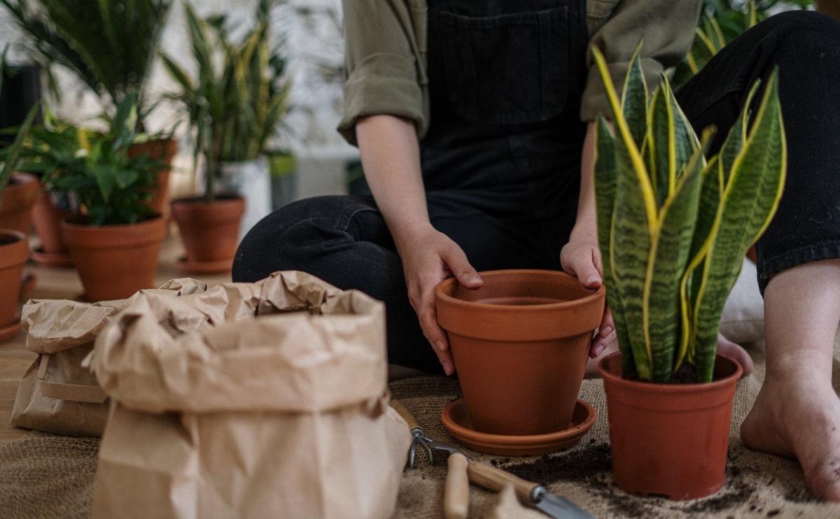 Minimalist Japanese-inspired furniture